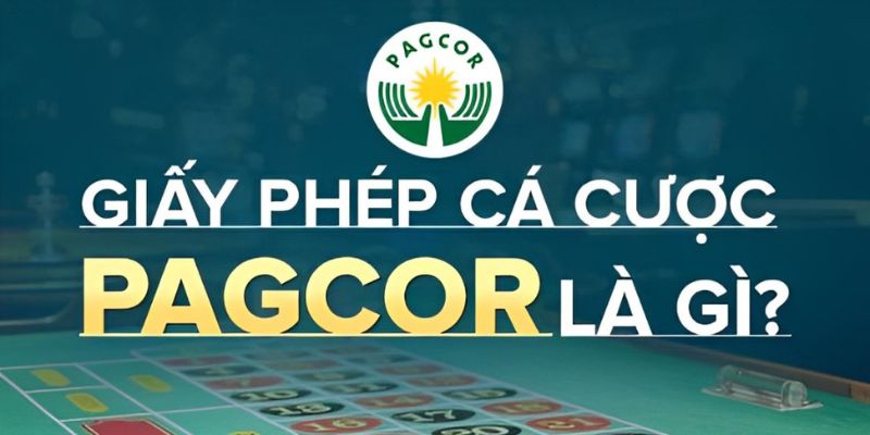 Các loại giấy phép hoạt động của Vn88