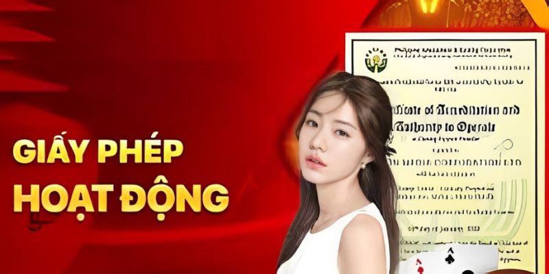 Giấy phép hoạt động là gì